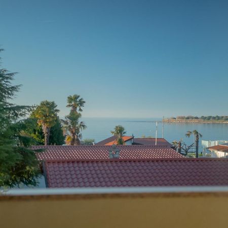 Apartments Angelica 1 Novigrad Istria Dış mekan fotoğraf