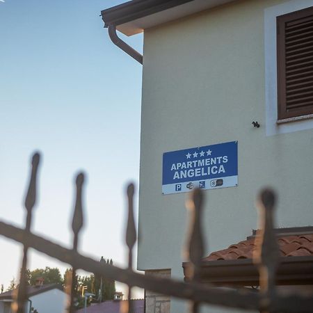 Apartments Angelica 1 Novigrad Istria Dış mekan fotoğraf